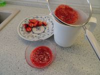 panna_cotta_03